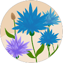 Cindy-Lee van Z. profile picture